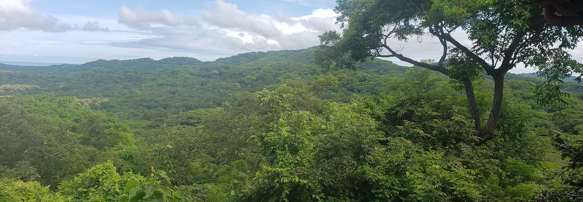 Pura_Jungla_Nature_Reserve_edited