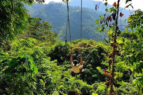 Ziplining