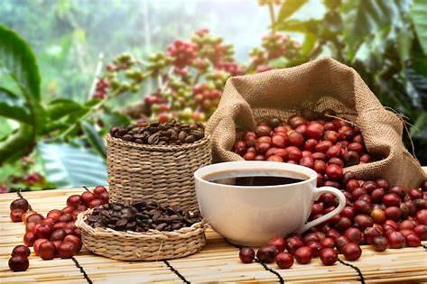Coffee