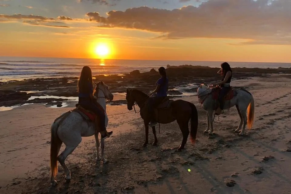 Horseback riding
