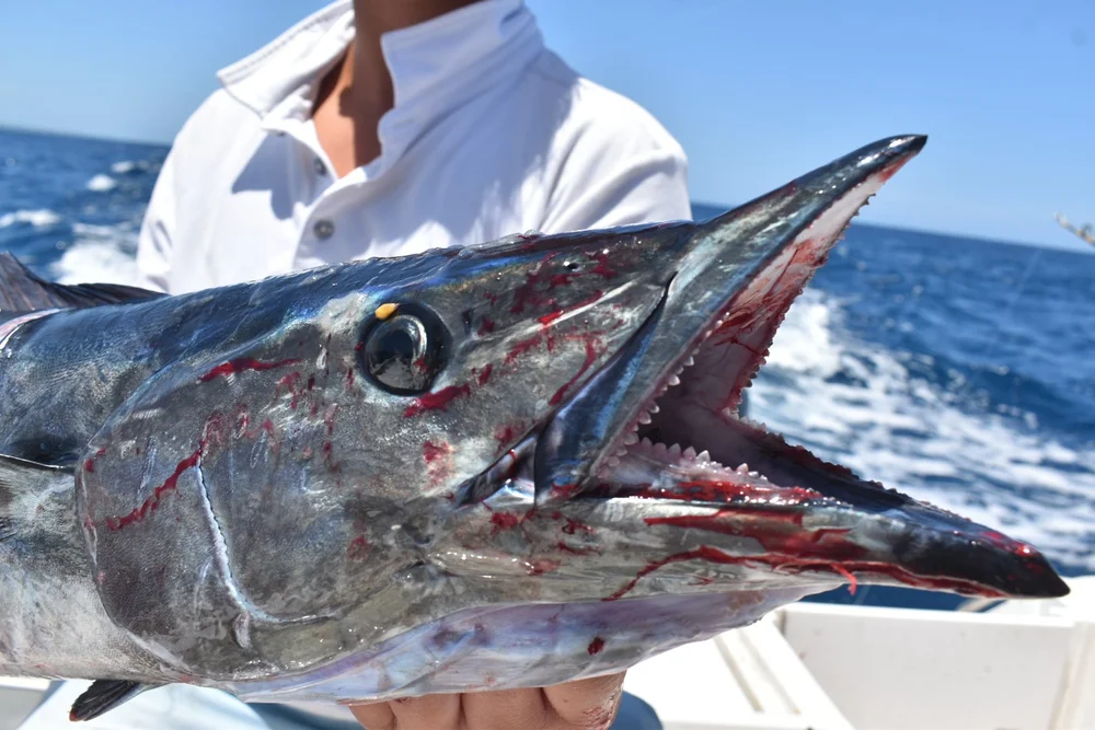 Sport fishing
