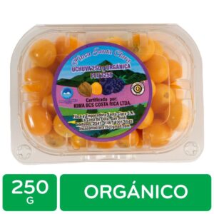 Golden Berries