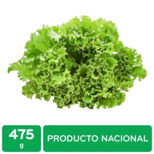American lettuce