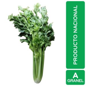 Celery