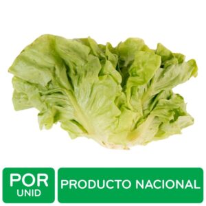Butter lettuce